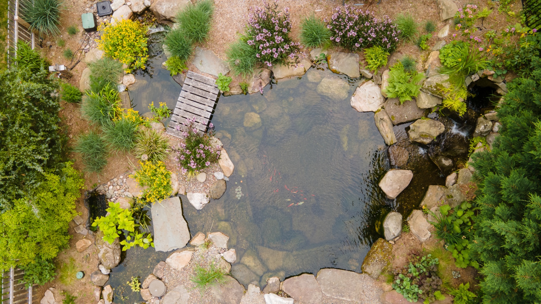 You Don't Need the Perfect Space for a Pond. We Design Around Yours.