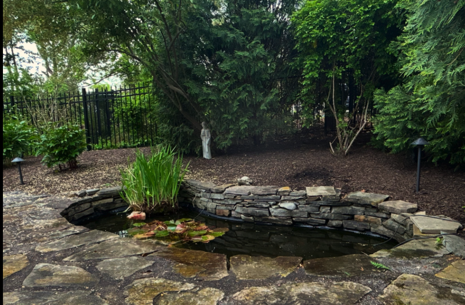 Small Yard, Big Impact: You Don't Need Acres to Create a Stunning Water Feature