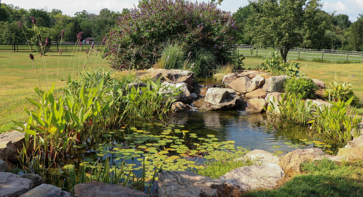 Enjoy Your Pond, Don't Maintain It: The Case for a Pond Maintenance Contract