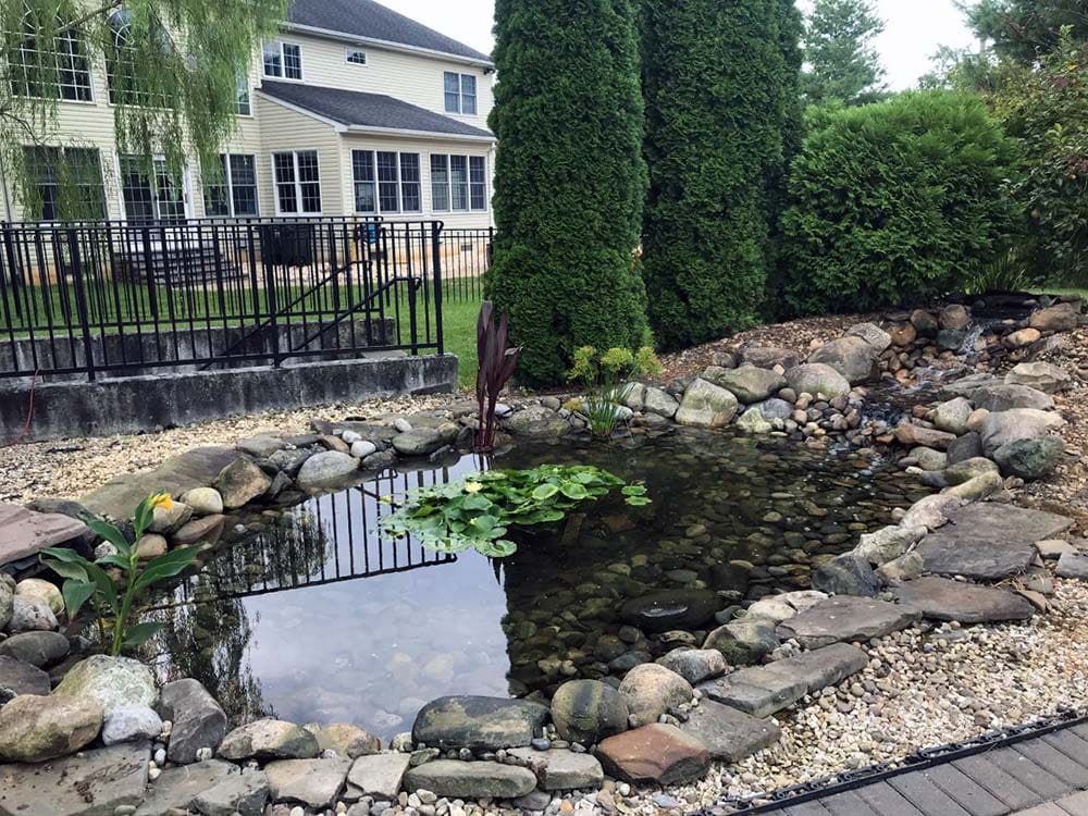 Backyard pond waterfall water feature Philadelphia AquaReale