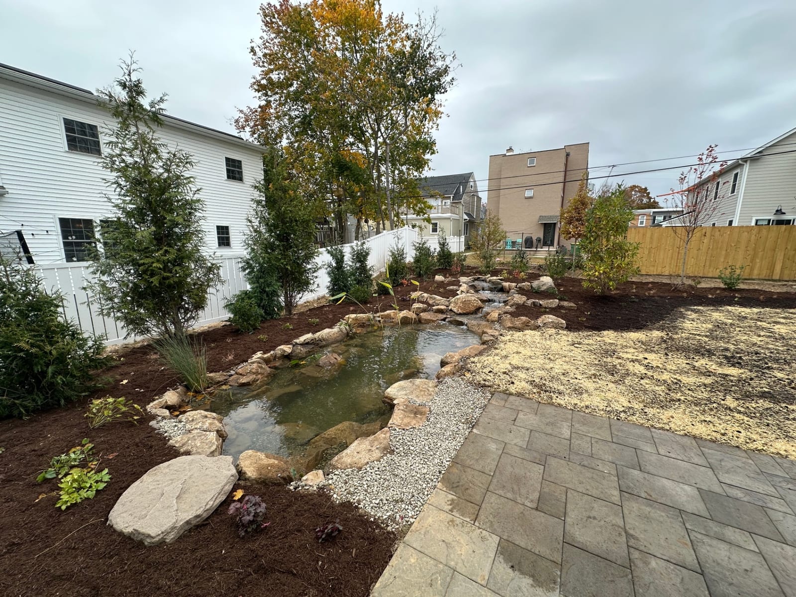 Media Ecosystem Pond & Full Landscape