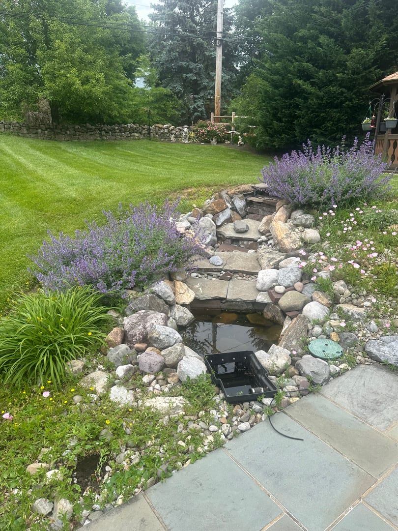 Plymouth Meeting Pond Renovation