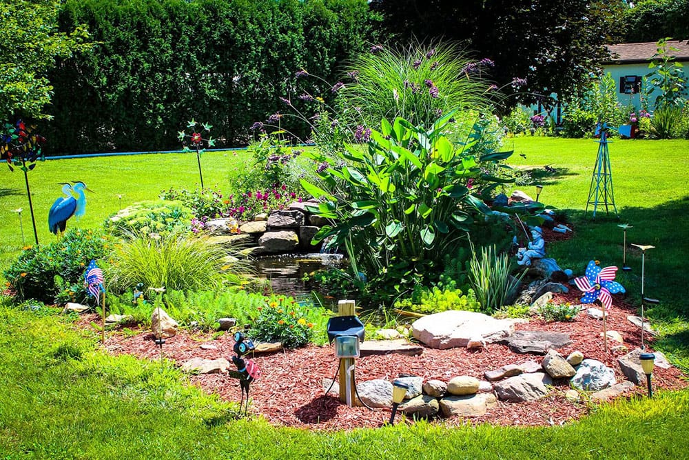 Backyard pond maintained by AquaReale maintenance packages in Philadelphia PA