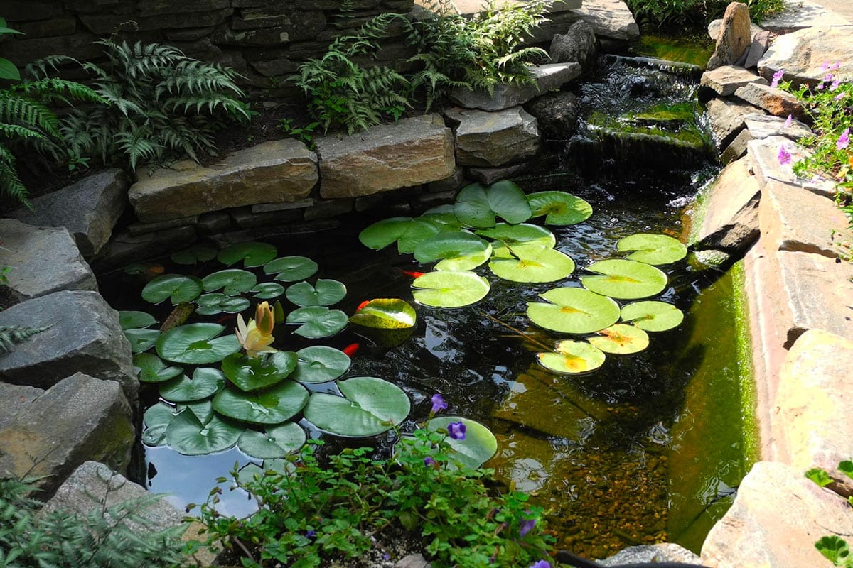 Lily pad pond with stacked stone edge built by a Philadelphia pond contractor