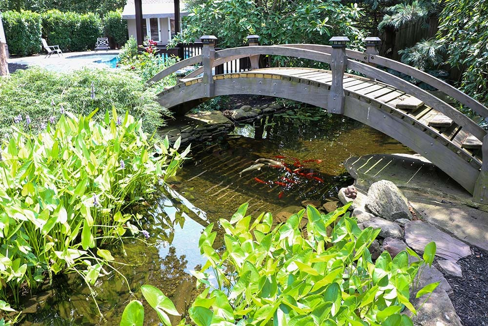 Wooden arched bridge over a koi pond with water lilies and clear water built by AquaReale in Philadelphia