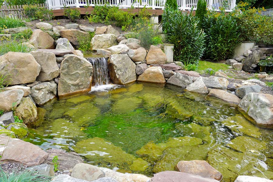 Freshly cleaned koi pond with boulder waterfall below a deck by AquaReale Philadelphia