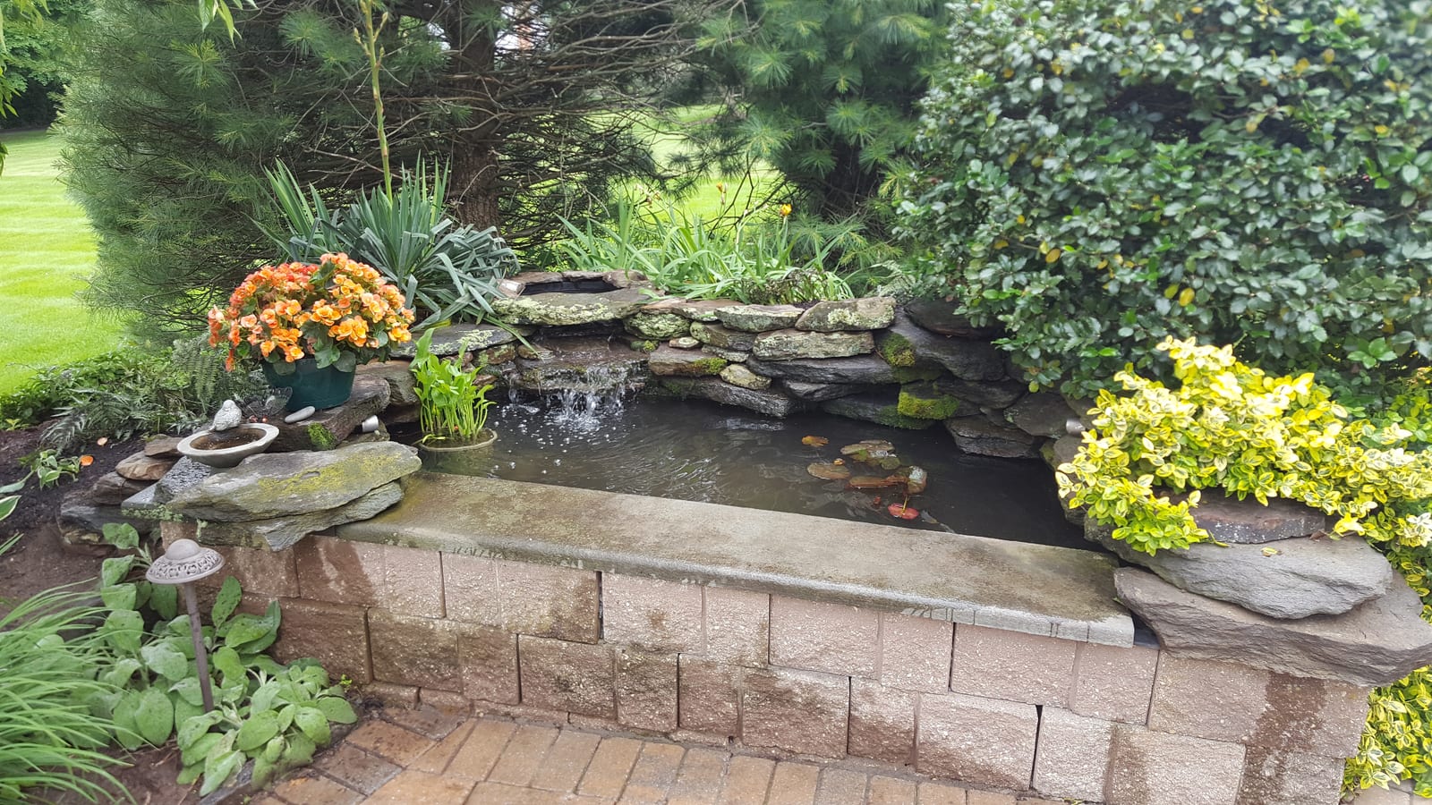 Raised brick formal pond with waterfall