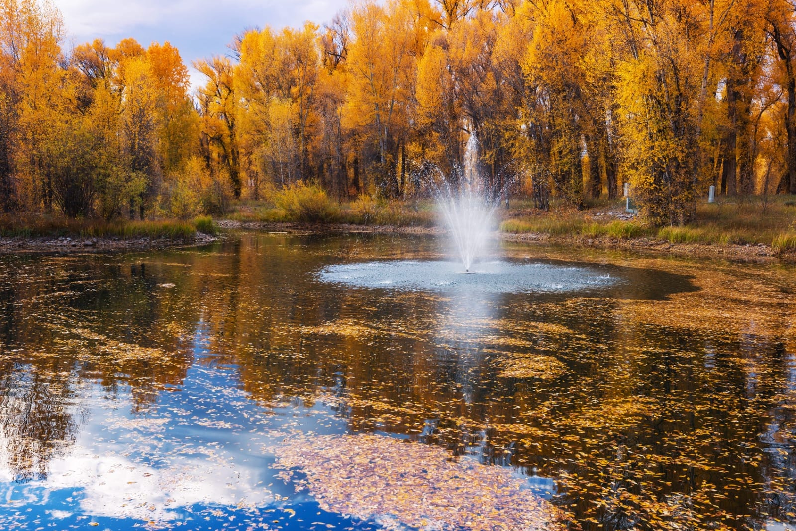 Autumn pond and fountain maintained by AquaReale in the Philadelphia area