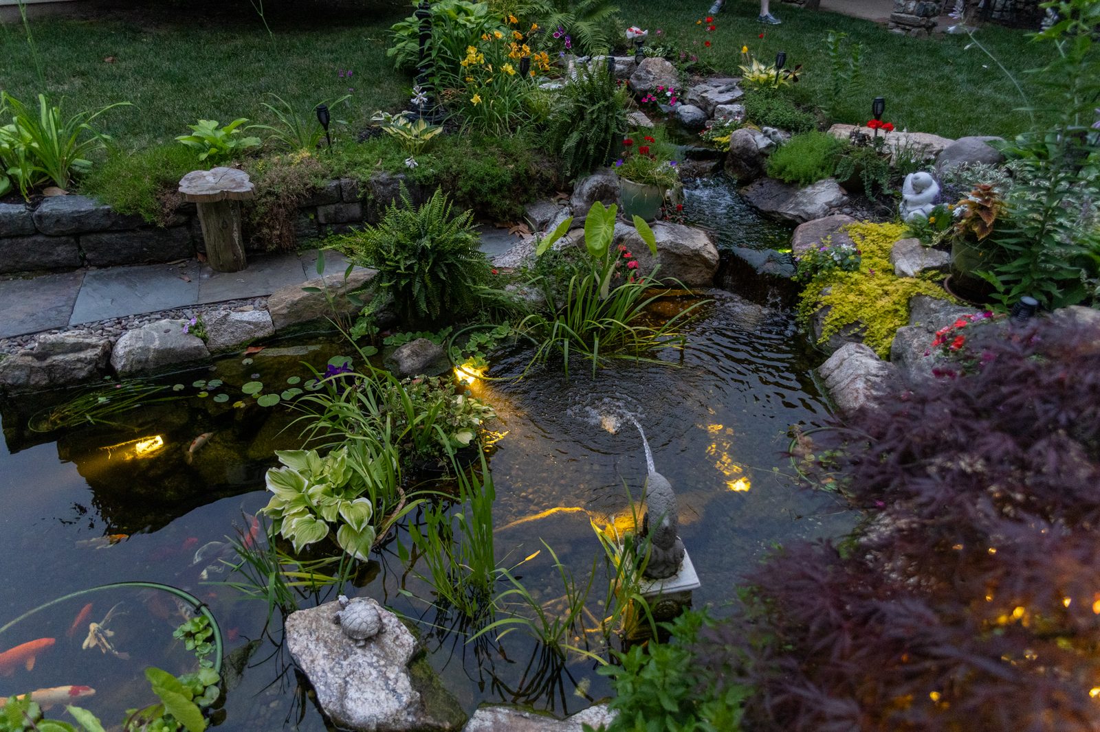 Aerial view of a backyard koi pond with boulders and plantings at dusk by AquaReale Philadelphia