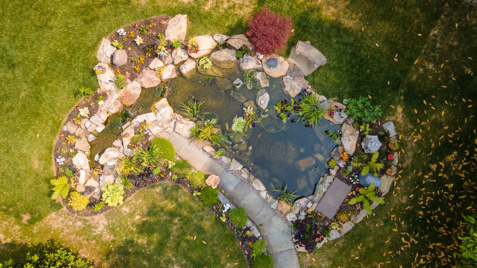 Aerial view of koi pond with bridge