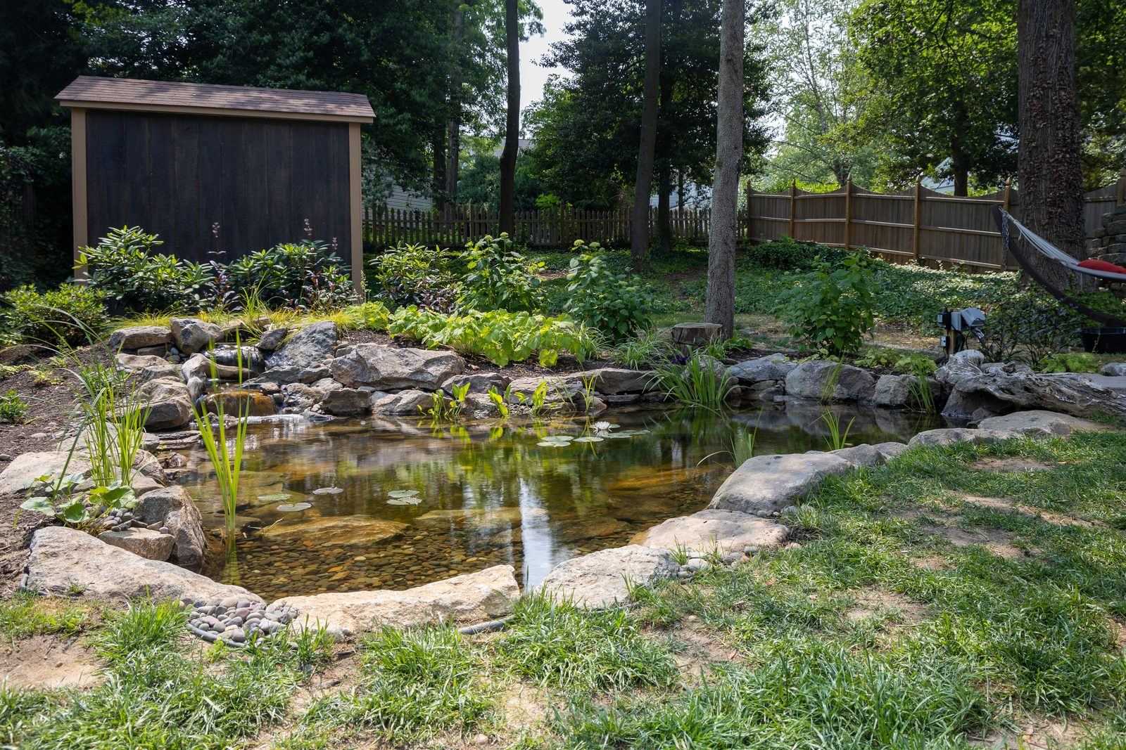 Ecosystem pond beside a garden shed in a wooded backyard by AquaReale Philadelphia