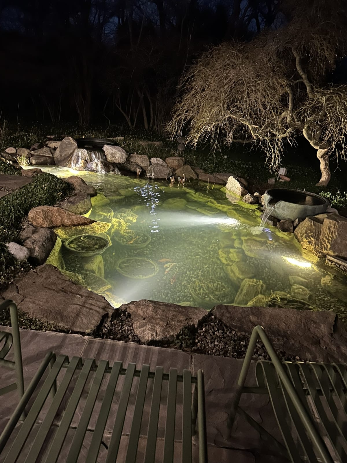 Koi pond with LED lighting at night