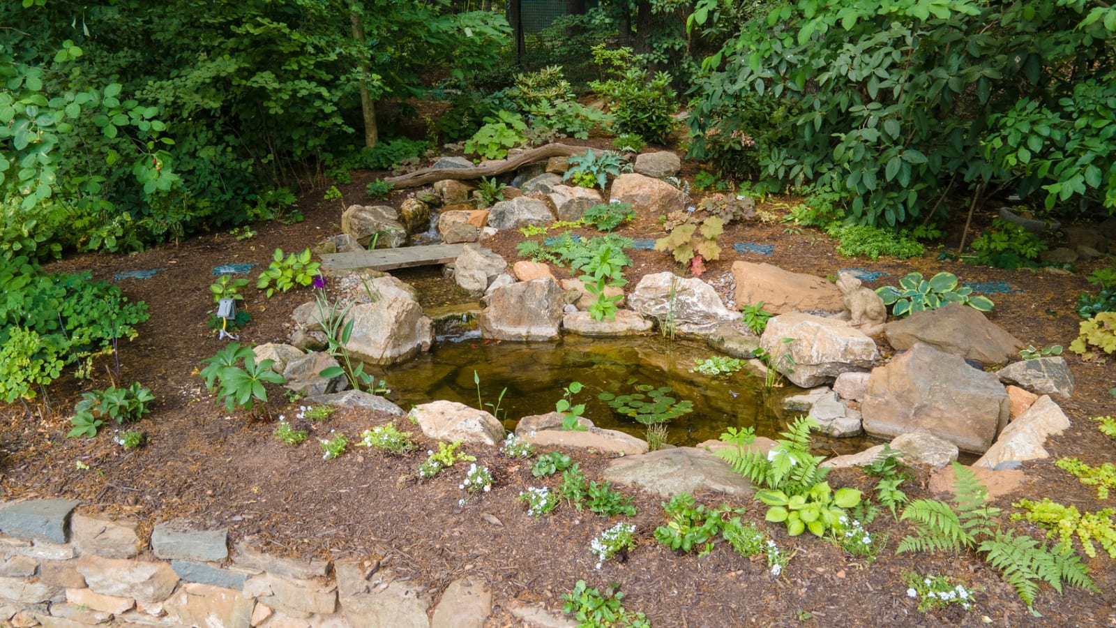 Woodland pond in Delaware County