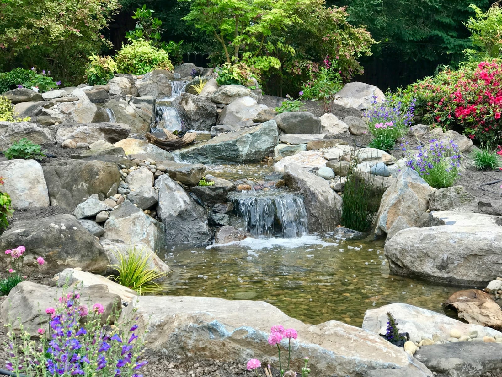 Natural rock waterfall stream with flowering landscape disappearing water feature in Greater Philadelphia by AquaReale