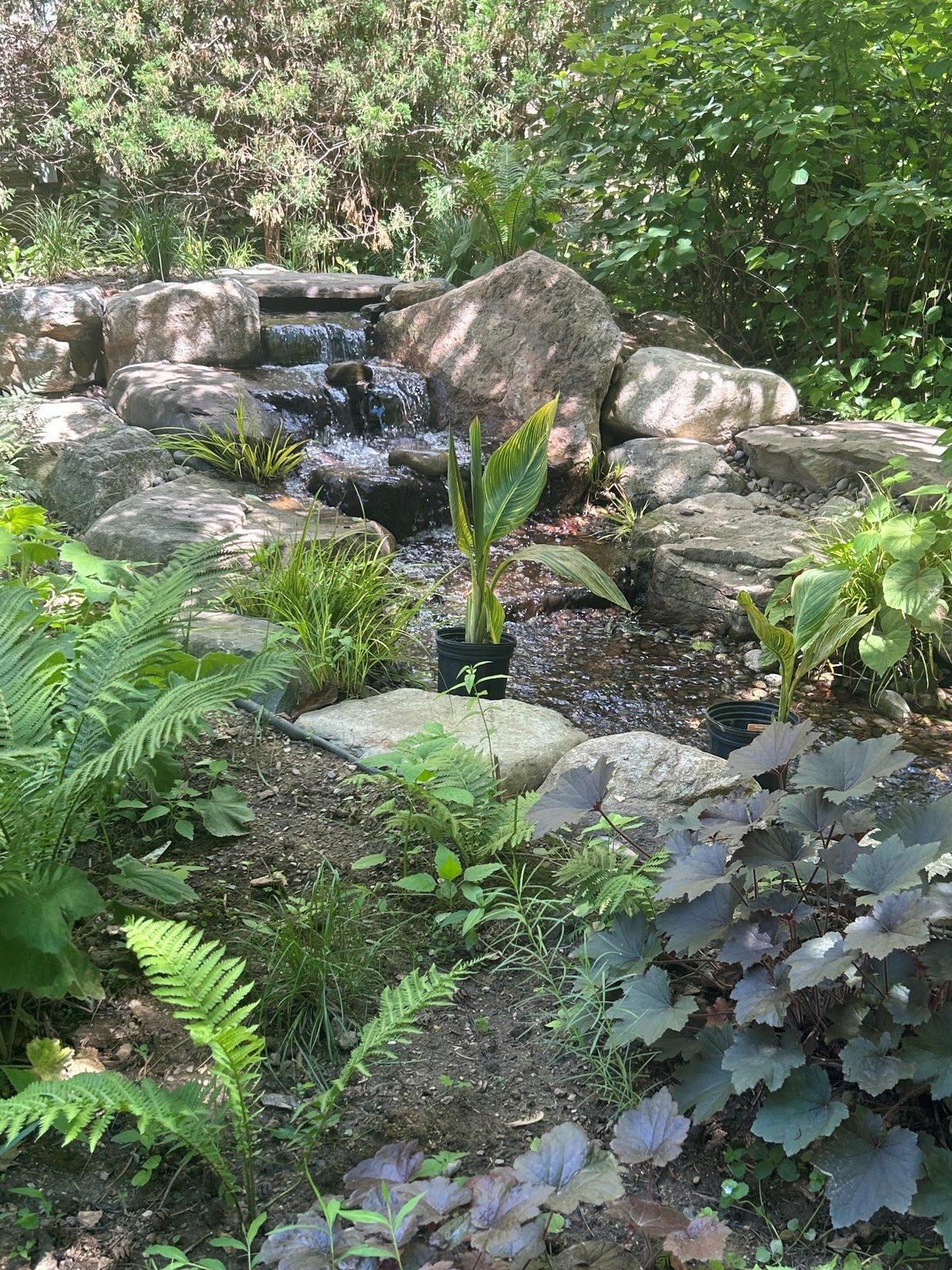 Shade garden disappearing waterfall with ferns and tropical plantings by AquaReale Philadelphia