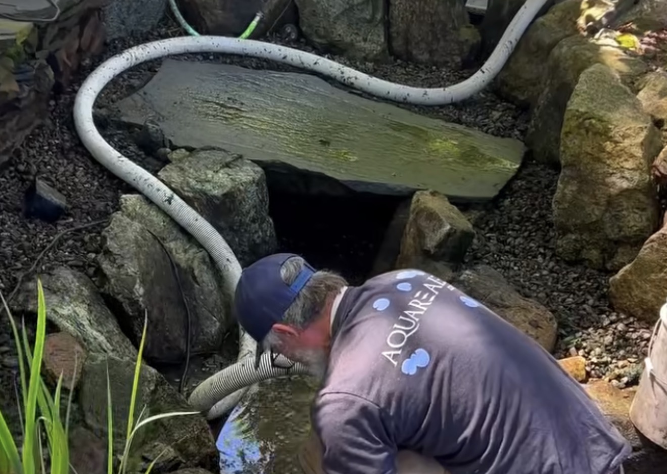 Late-Summer Koi Pond Care: Your August Checklist for the Philadelphia Area