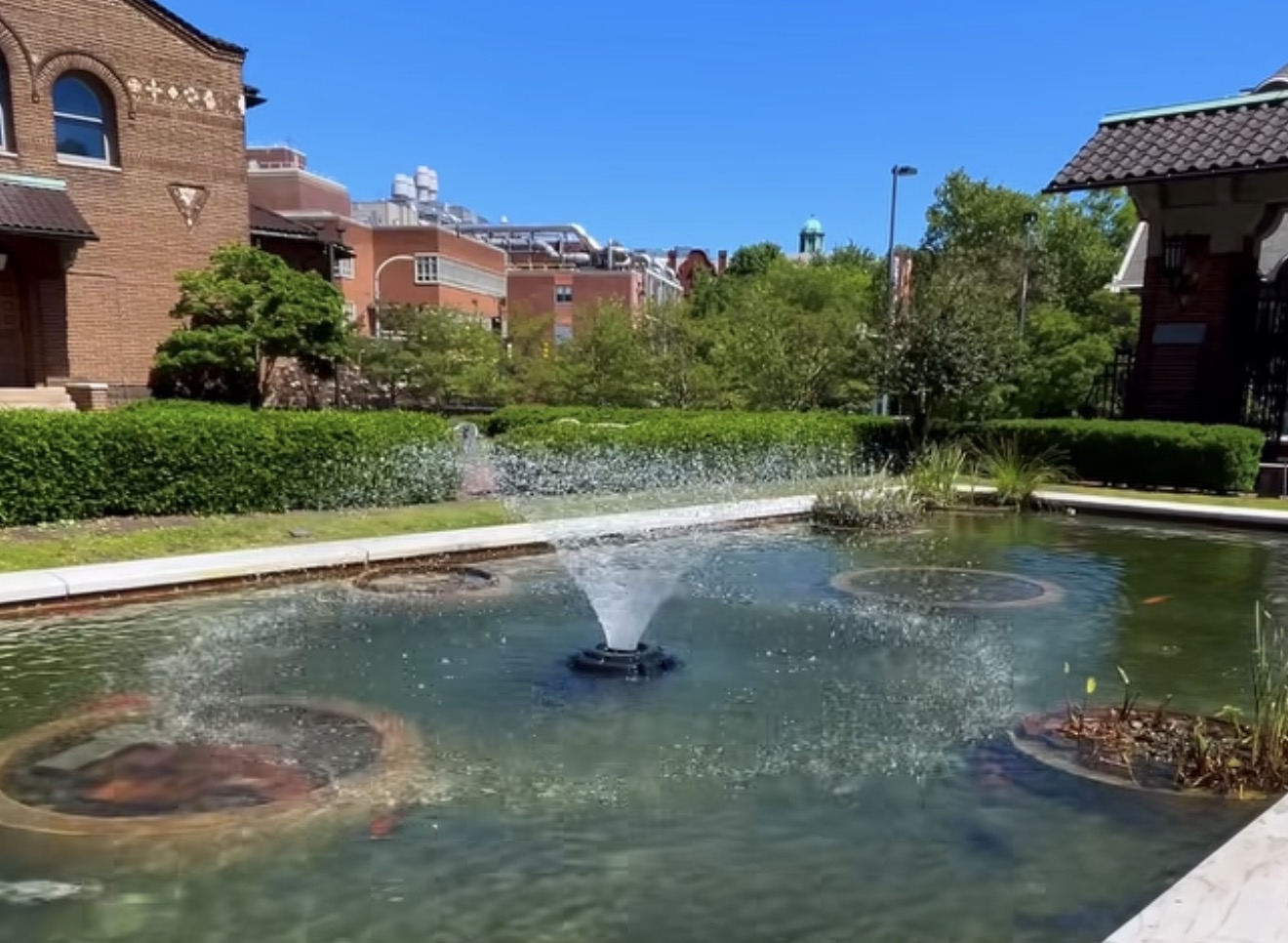 Commercial Water Features: Setting the Tone for Your Outdoor Aesthetic