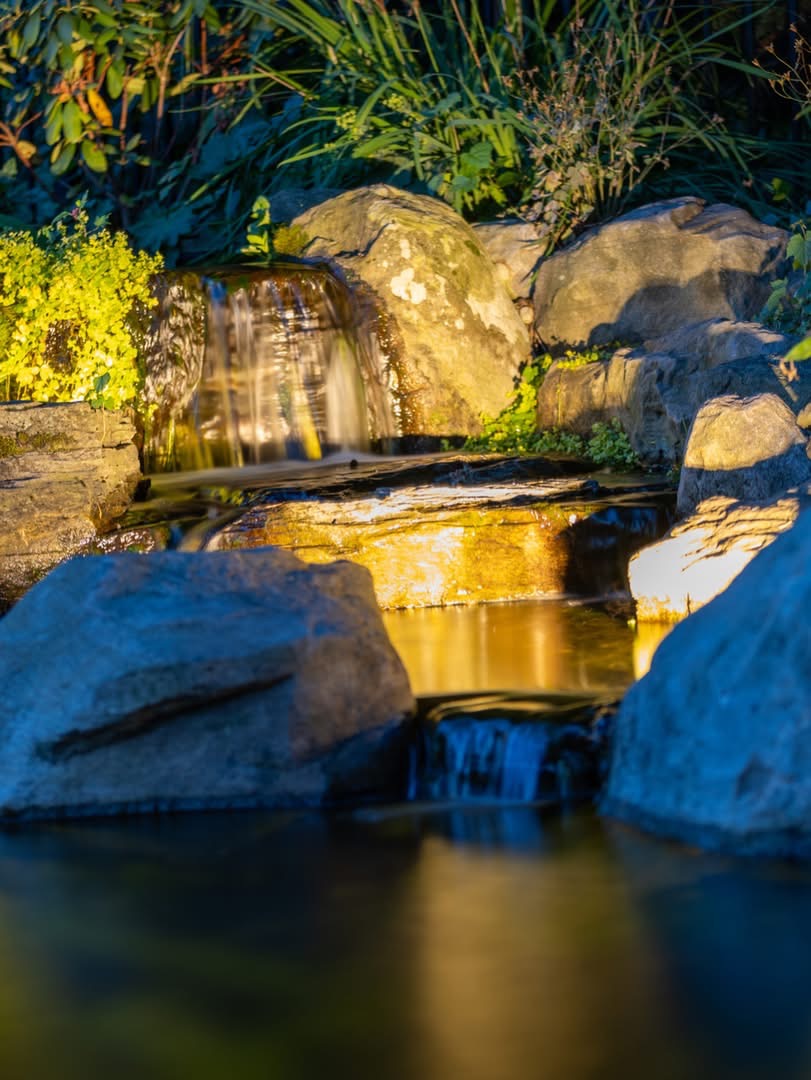 Pond Lighting: Transform Your Water Feature Into an Evening Escape