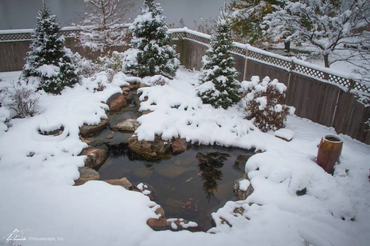 Winter pond care 