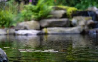 Tranquil garden pond with lily pads and waterfall.