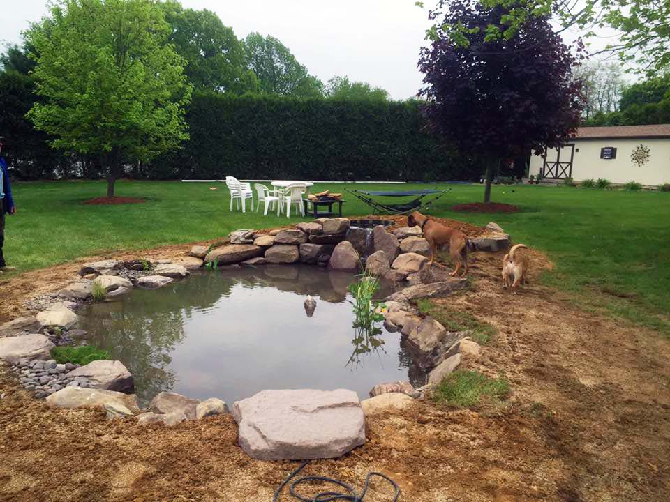 Philly koi pond after