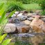 Pond renovation in Buck's County