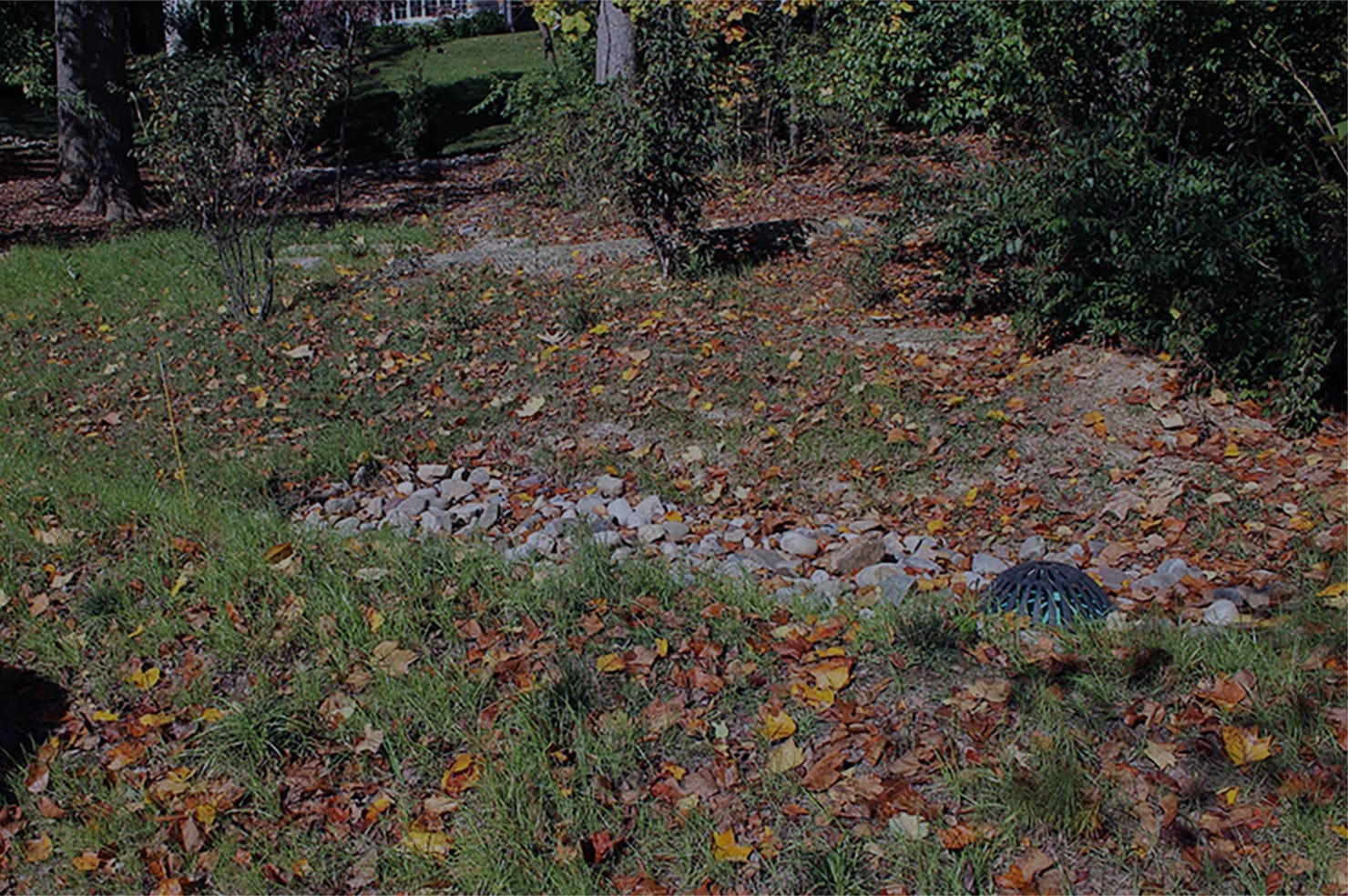 home-stormwater-management.jpg