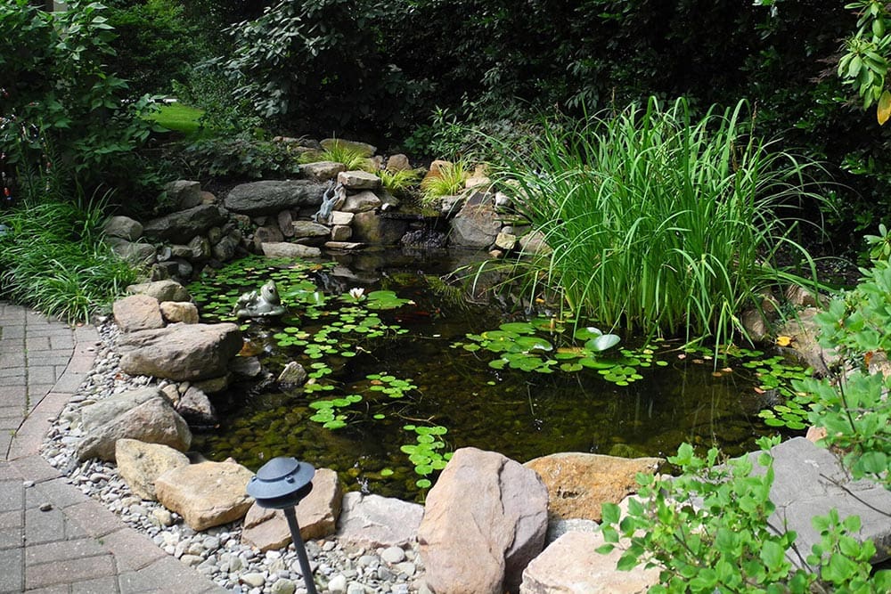 AquaReale | Koi Ponds, Water Features, Outdoor Fountains