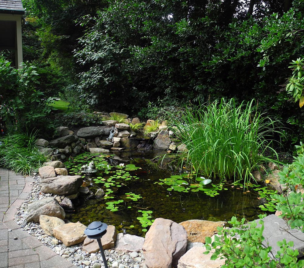 Ponds Archives - AquaReale | Koi Pond Installation & Maintenance