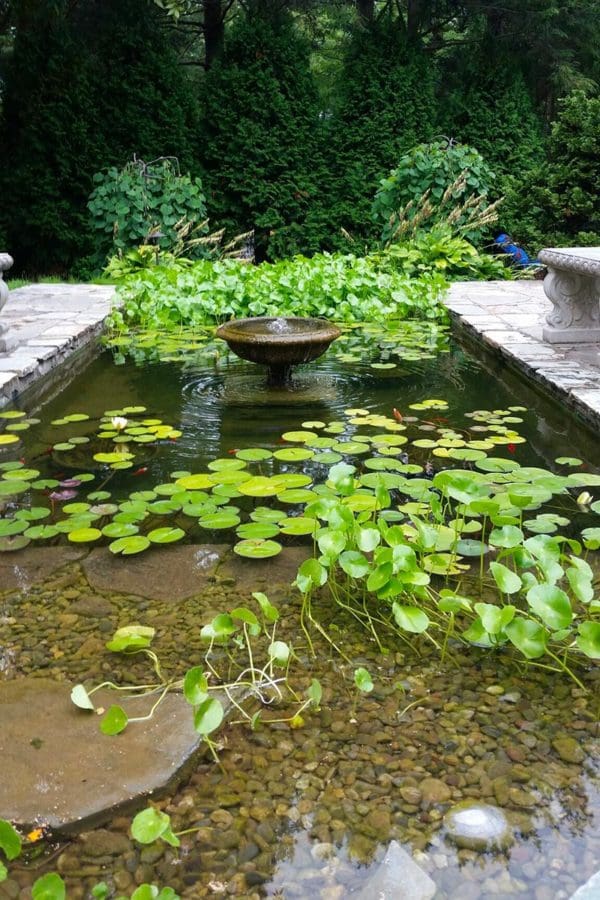 Concrete Ponds | Above Ground Water Features | Formal Ponds