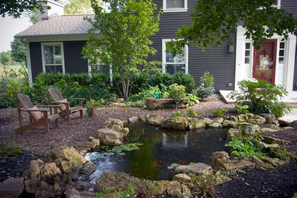 Koi pond and waterfall in front yard