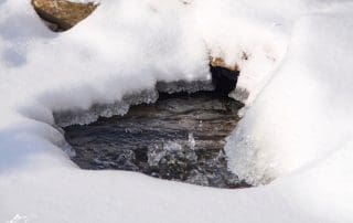 Running a pond in Winter
