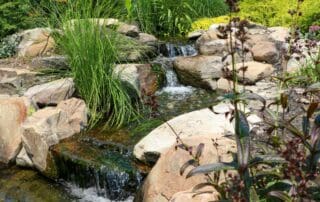 Tranquil garden stream with lush plants and rocks.