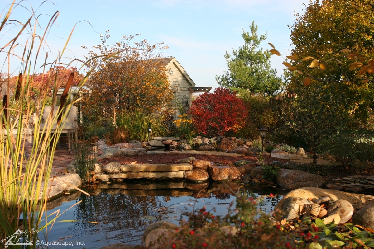 Fall Pond Care