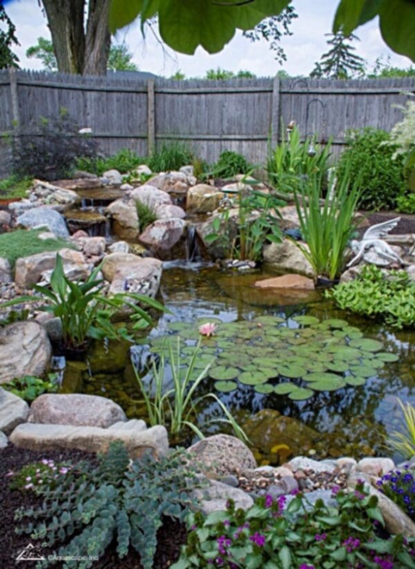 AquaReale | Koi Ponds, Water Features, Outdoor Fountains