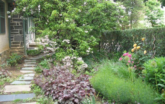 Lush garden pathway leading to stone house.