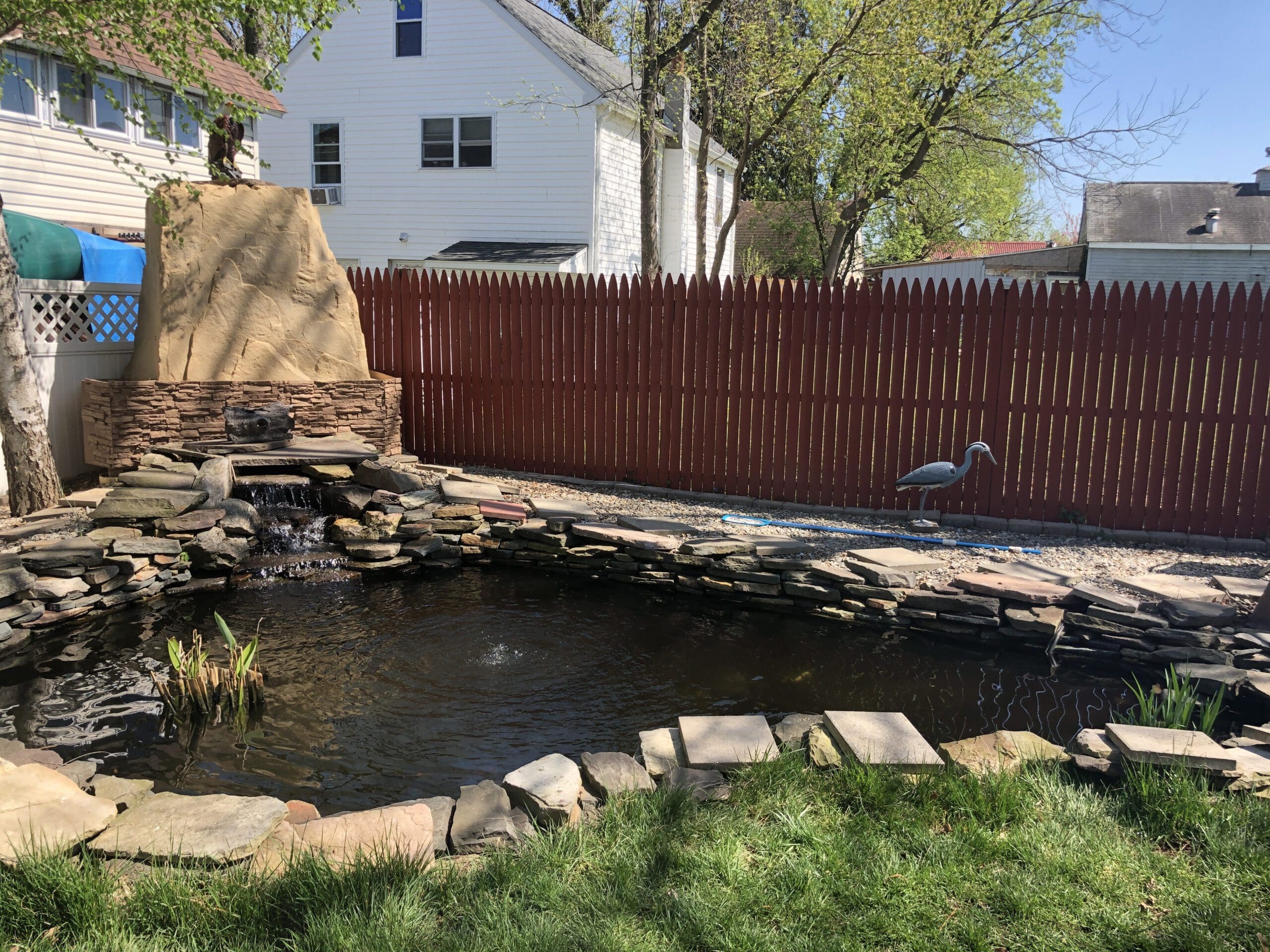 Pond Builder In Philadelphia