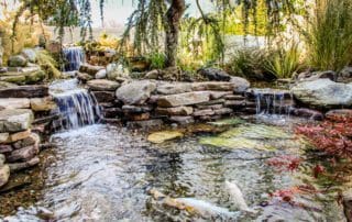 Garden pond with waterfalls and koi fish