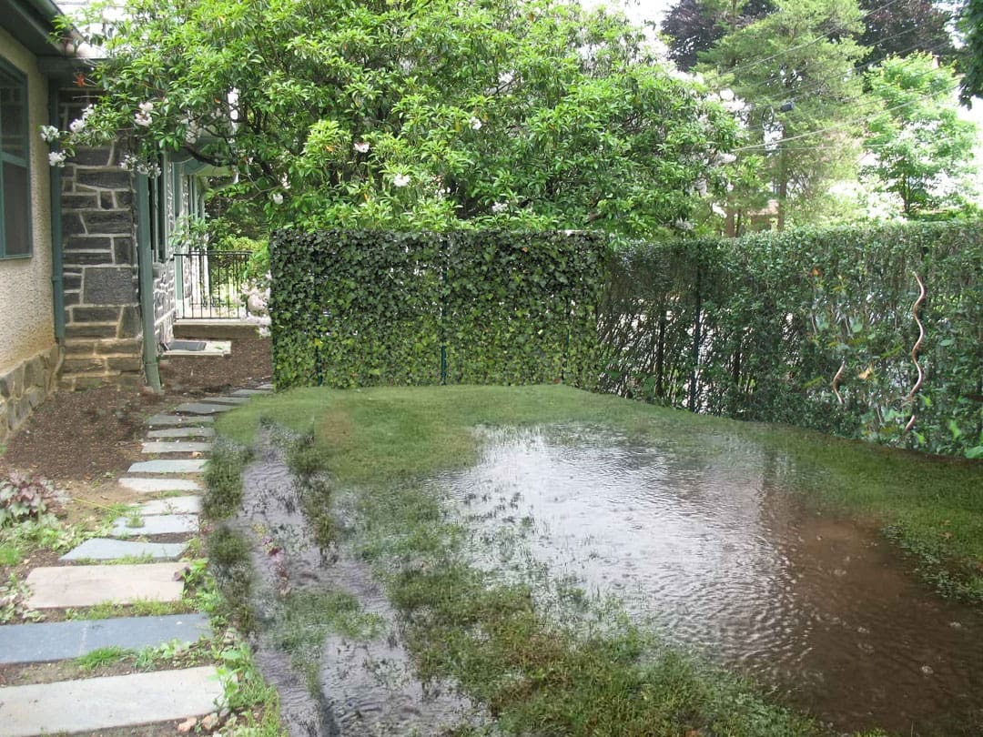 Backyard flooded after heavy rainstorm